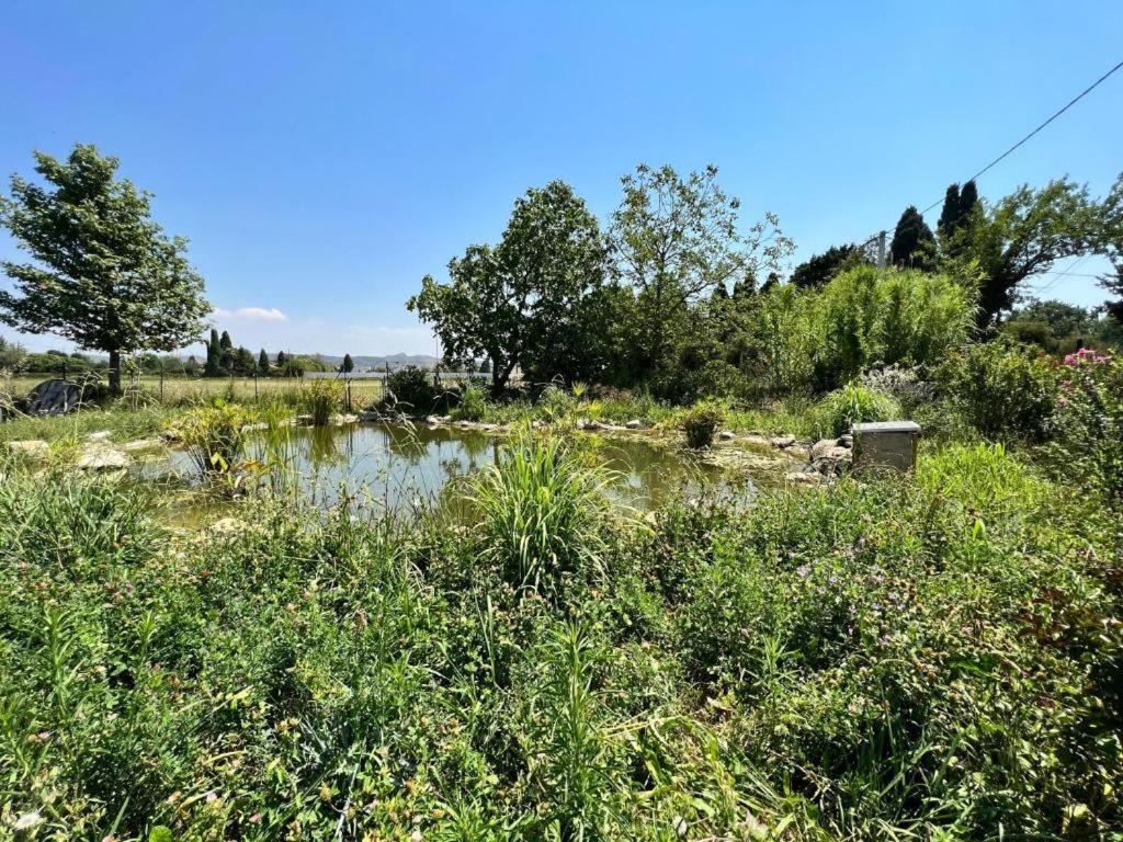 Bastide Des Martelieres Panzió Salon-de-Provence Kültér fotó